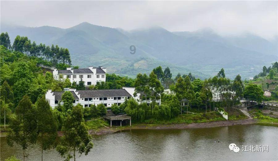 如何看待班级的优点和缺点？游戏画面