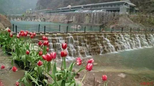 证监会：将充实应对市场波动的政策工具 及时做好风险对冲