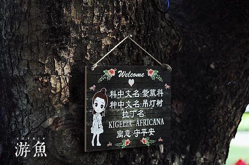 全都是凶手