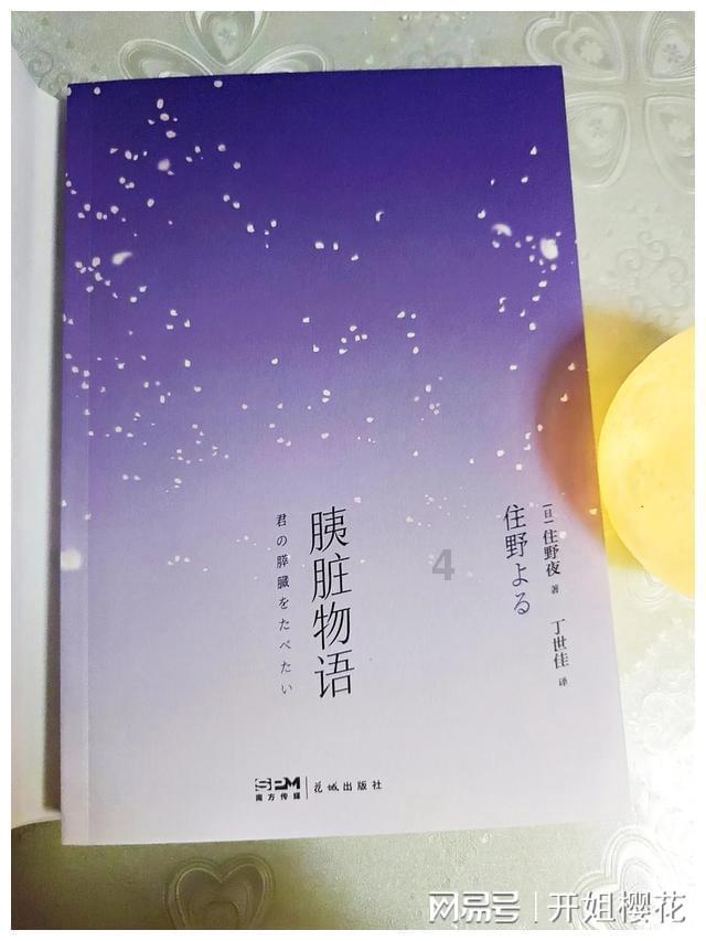 植物大战僵尸5