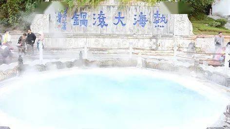 为何菜市场买的了鸡蛋鸭蛋,却买不到鹅蛋?家禽老板甩出3个字