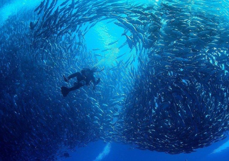 海贼船