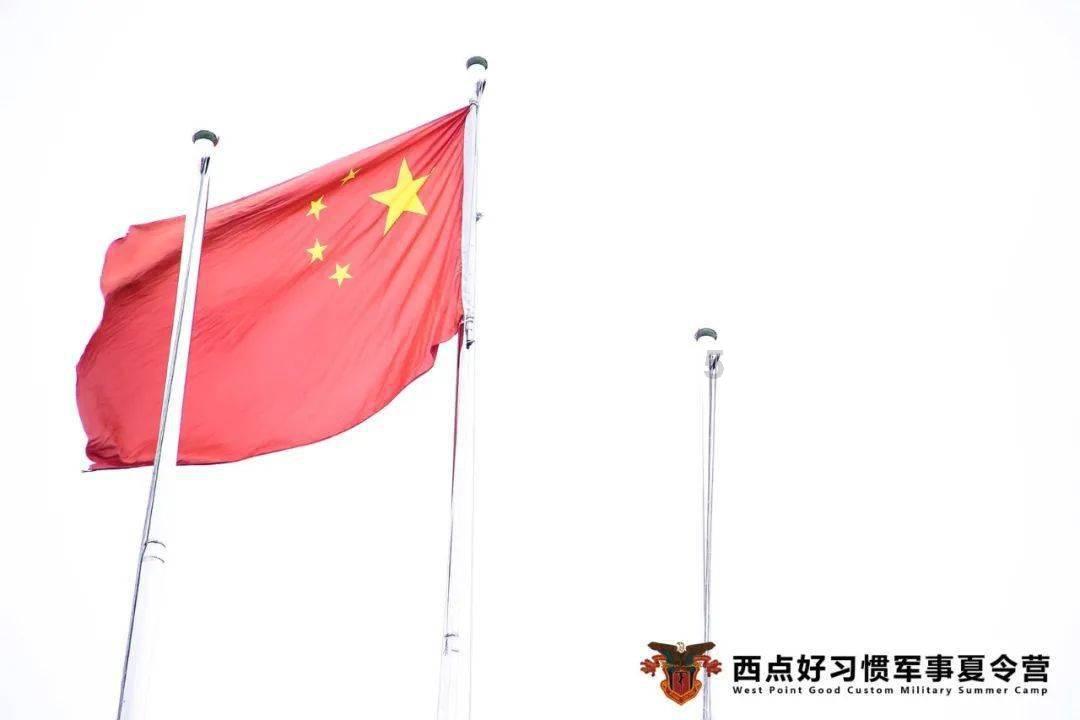 救援海盗章鱼