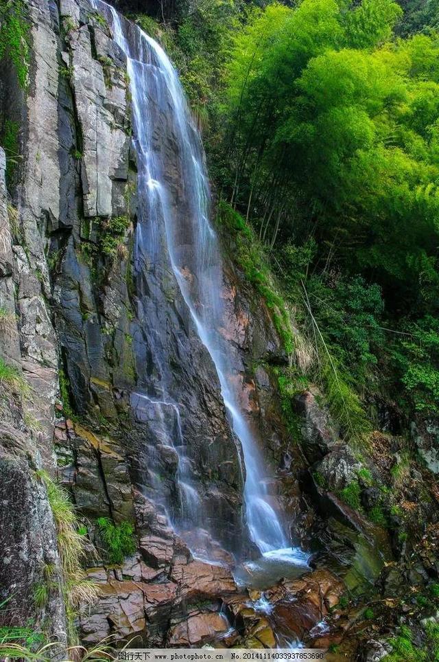 春雨直播app