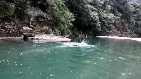 神奇！只需一种药，可把肺、肝、心、脾、肾一起都补了！