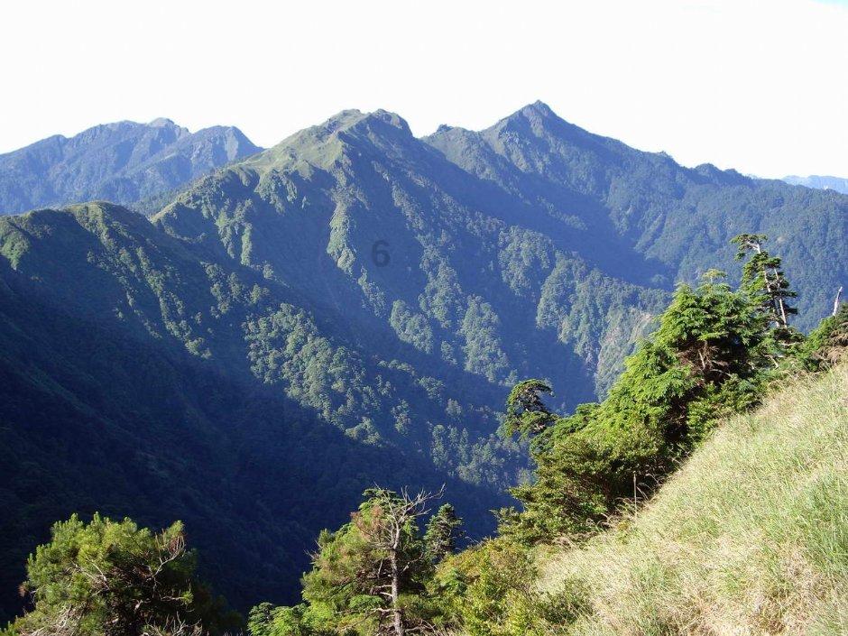 6岁娃羡慕美甲体验2天后崩溃大哭