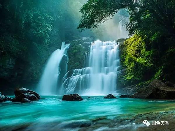 沪江开心词场