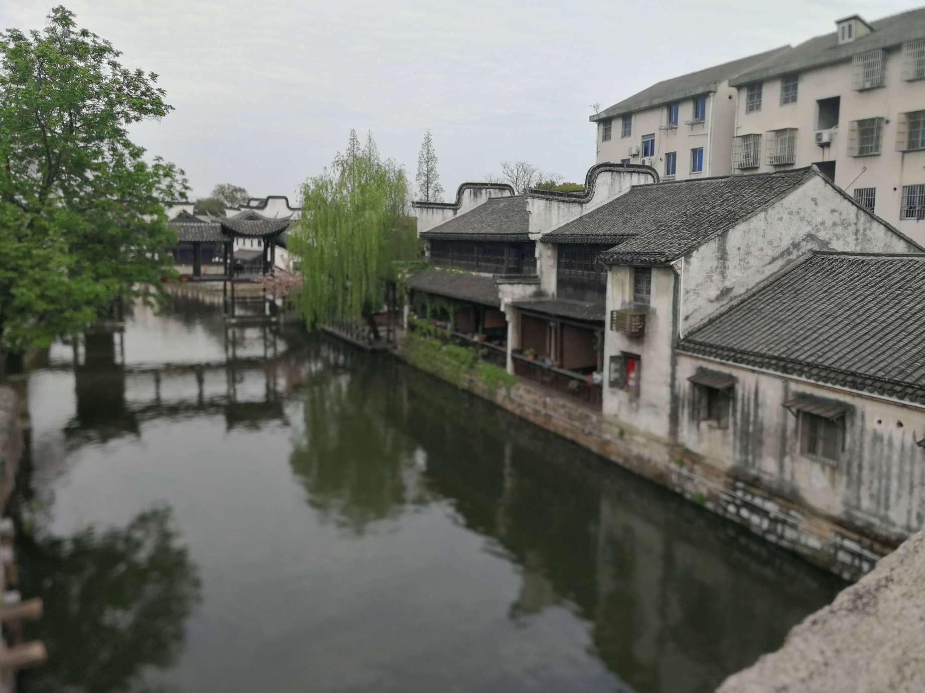 动物拼一拼